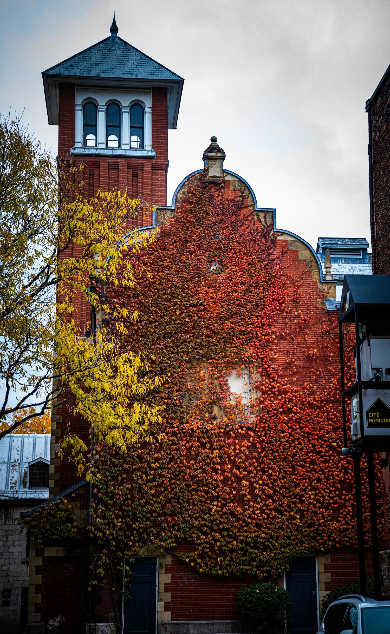 Vibrant red and yellow autumn leaves adorn trees against a brick building with a tower in urban setting.