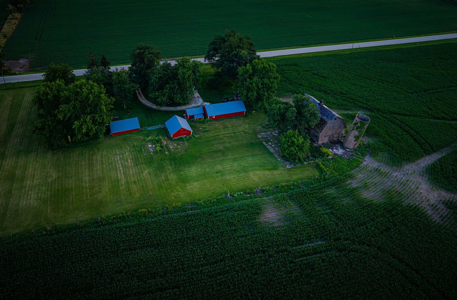 Aerial view of a rural farm with red barns, surrounded by lush green cornfields and trees on a cloudy day.