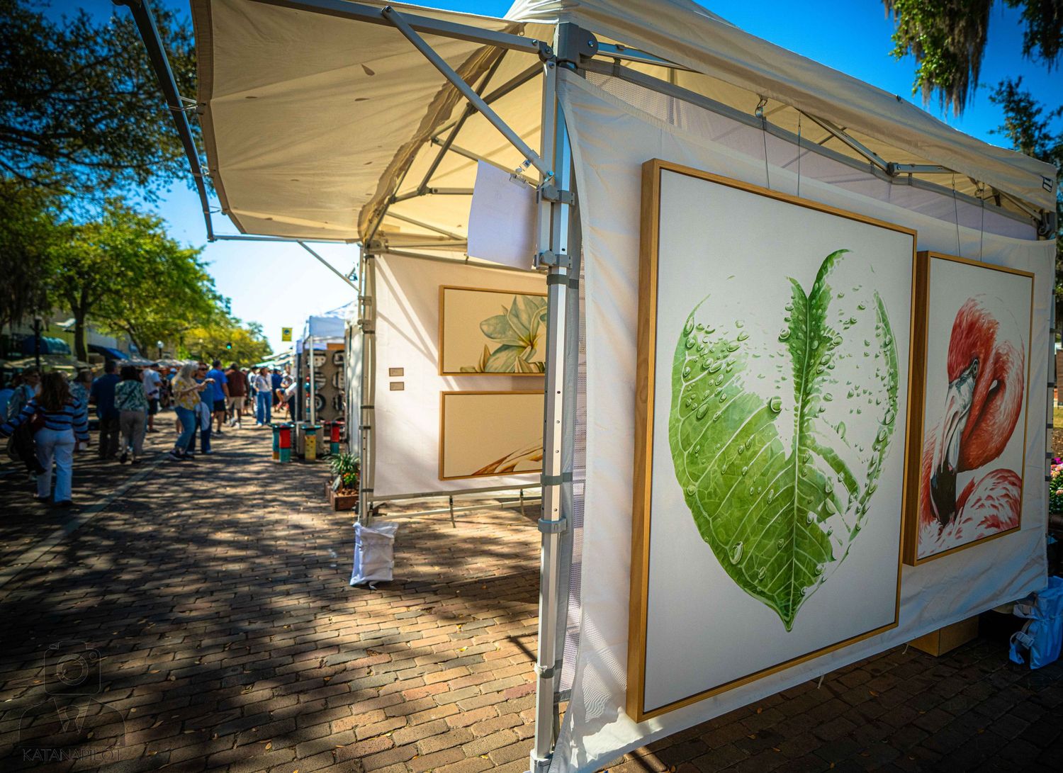 White exhibition panels displaying botanical art prints along a tree-lined outdoor walkway.