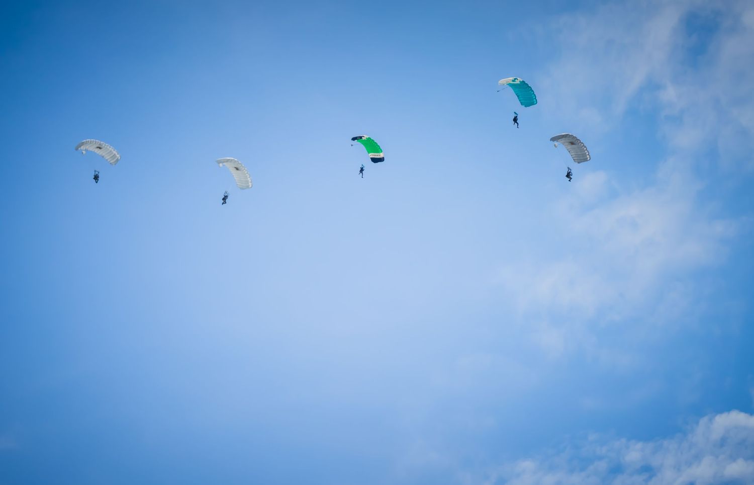 Formation of skydivers with blue and white parachutes descending through clear sky.