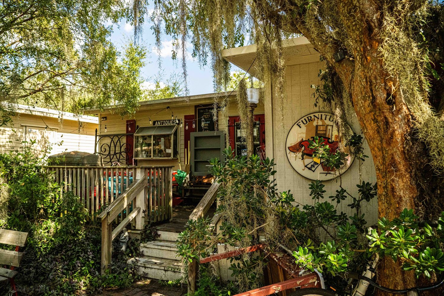 Exterior garden path with hanging Spanish moss and lush greenery surrounding a shop entrance.