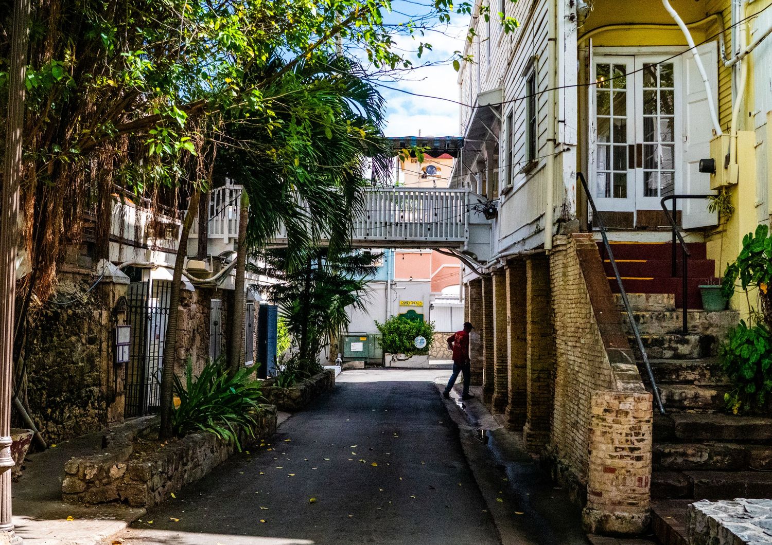 Narrow cobblestone alleyways with historic architecture and greenery in an old European neighborhood.