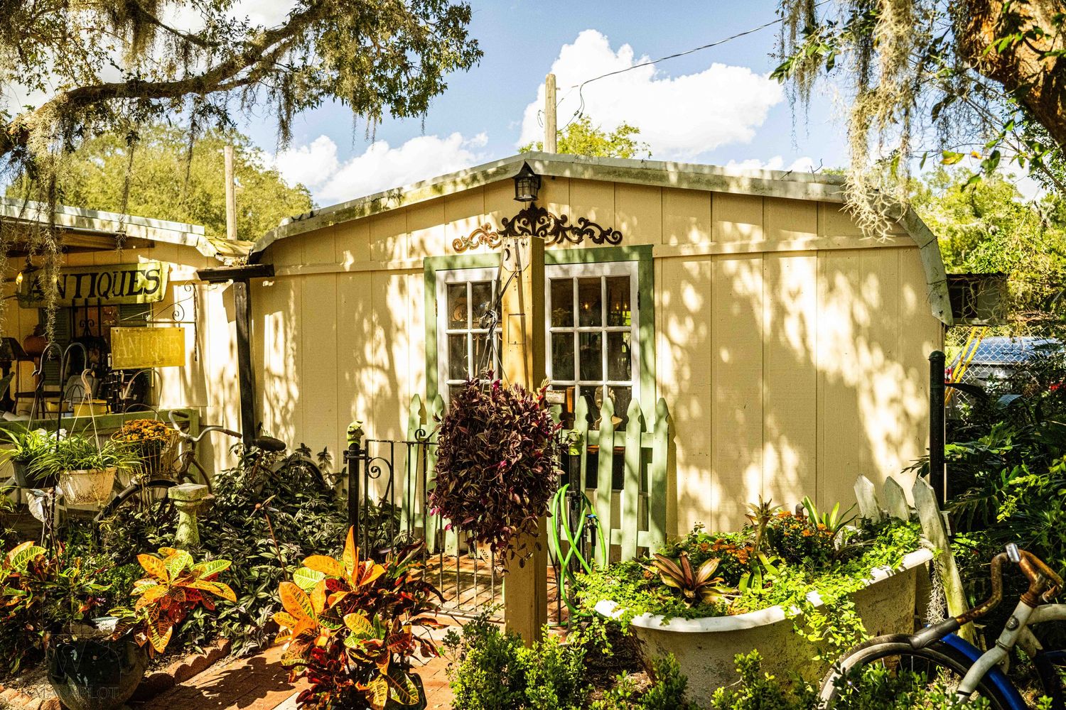 Panoramic view of a quaint shopping village exterior with Spanish moss and white buildings.
