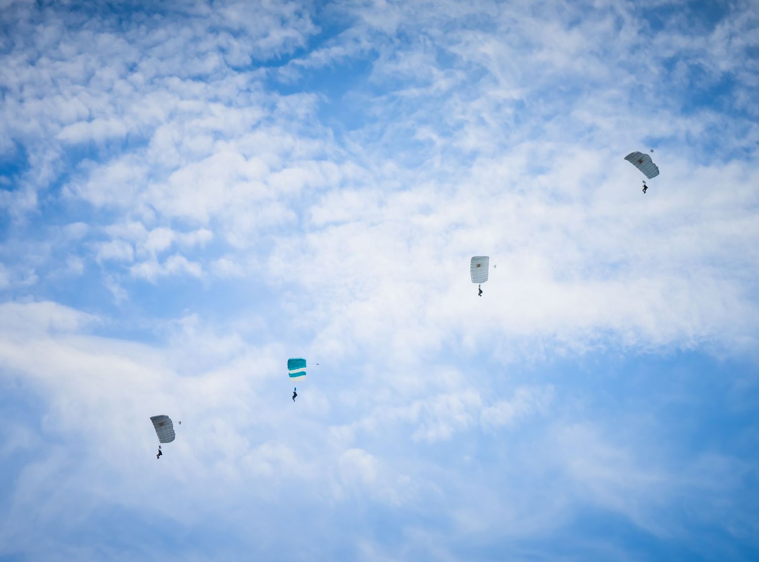 Skydivers performing aerial maneuvers with green and gray parachutes in a cloud-dotted sky.
