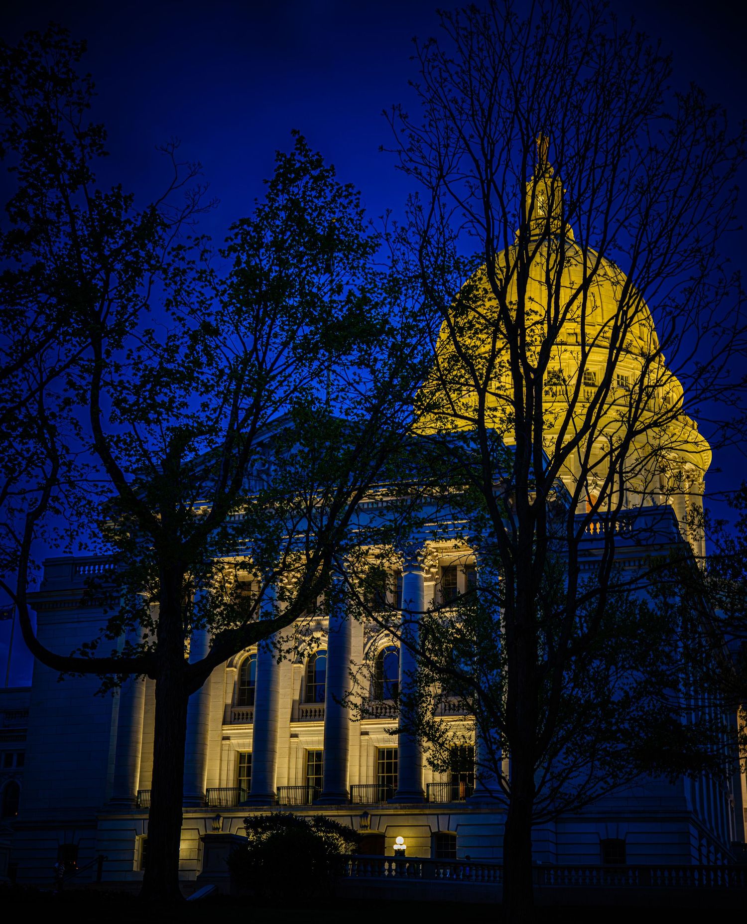 Illuminated government capitol building dome glowing gold at night, framed by silhouetted bare trees against deep blue sky.