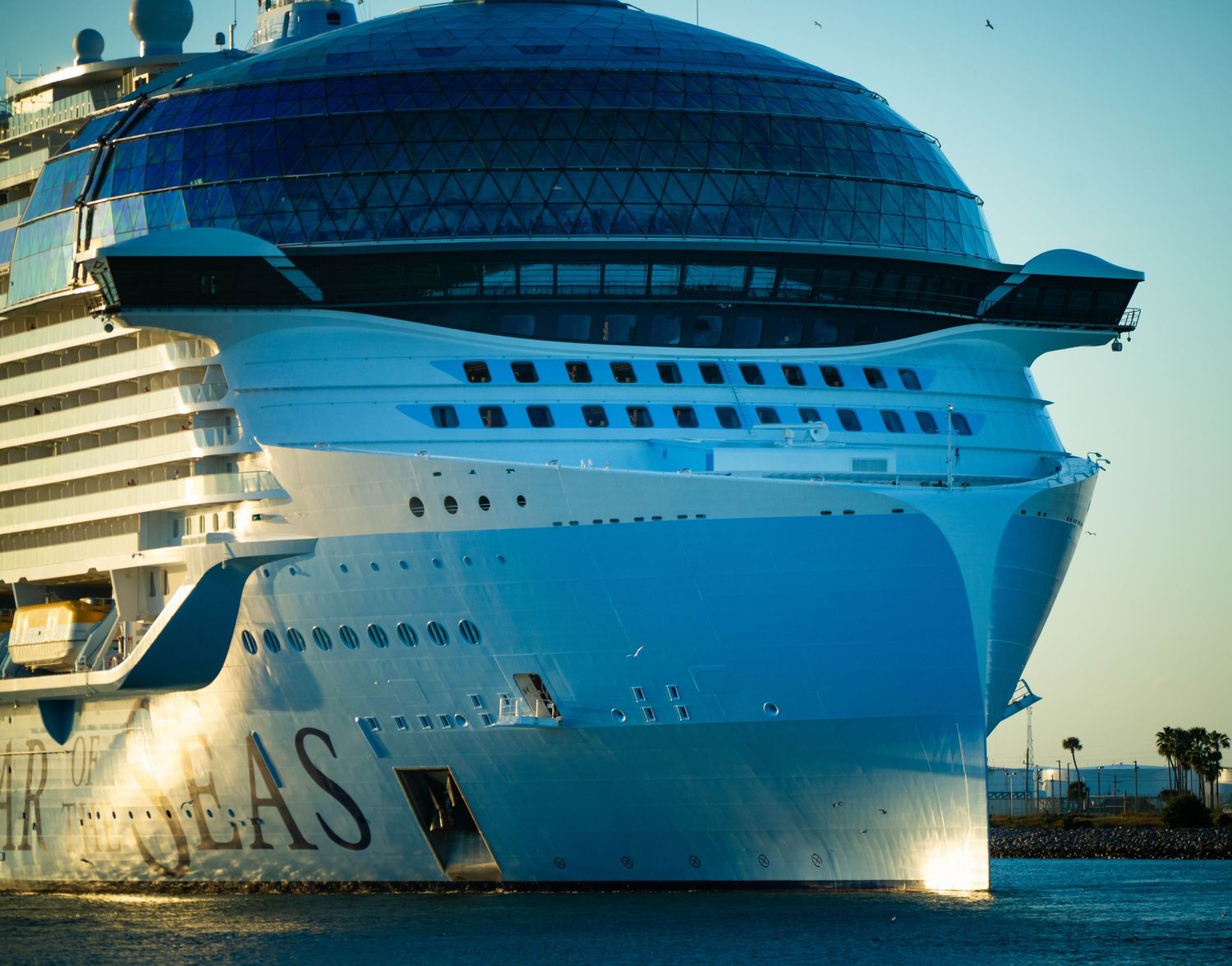 Large white luxury cruise ship with blue lighting photographed from different angles at dusk against a city skyline.