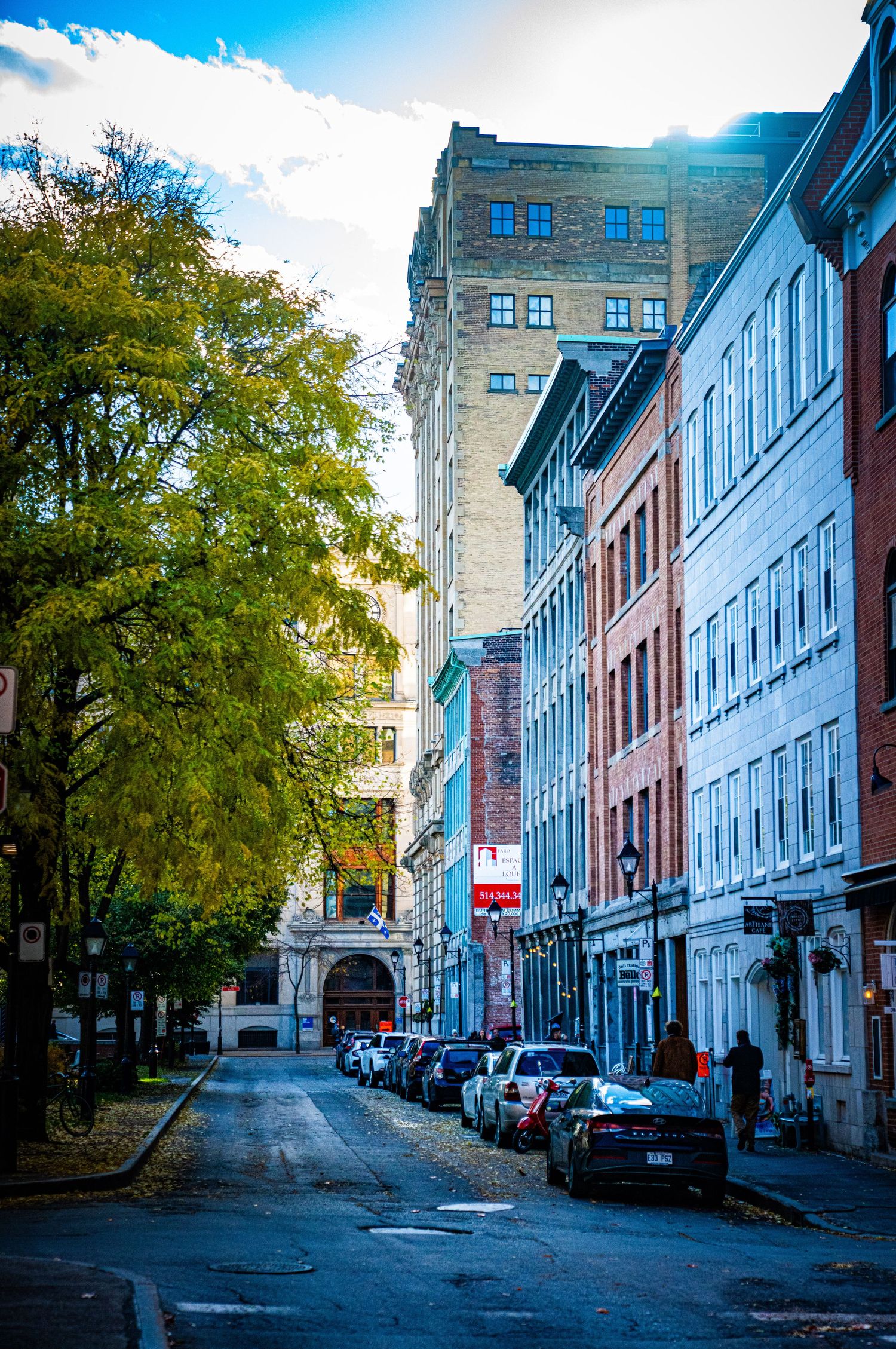 Historic cobblestone street in Old Quebec City with traditional architecture and autumn trees lining the sidewalk.