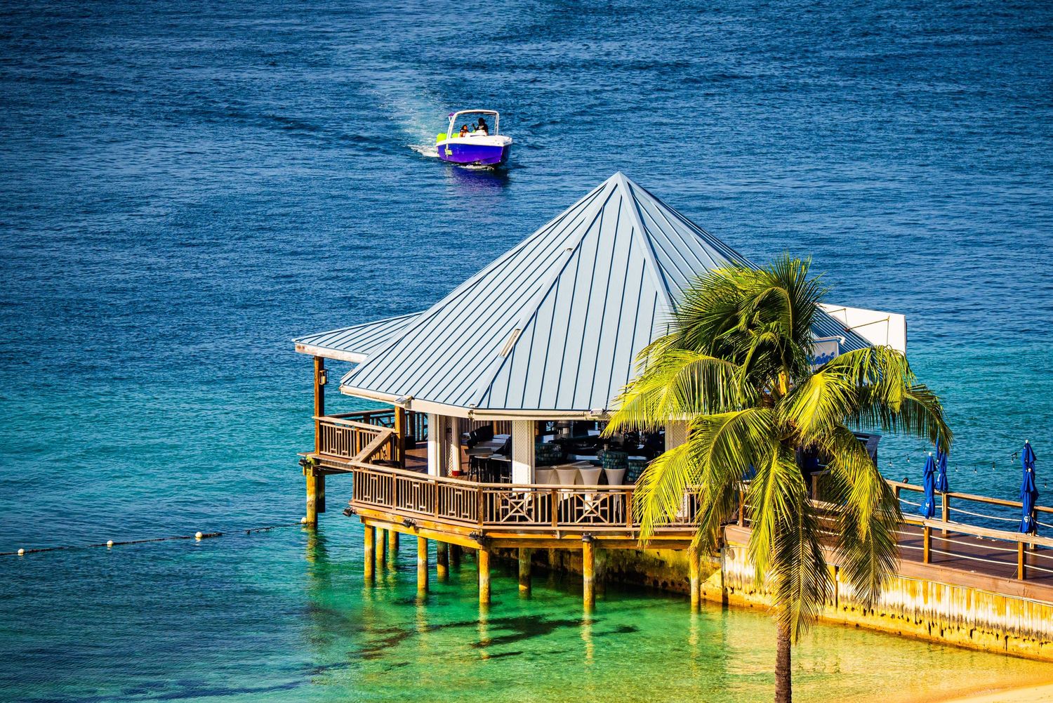 Tropical overwater bungalow with palm tree and turquoise sea, speedboat passing in background.