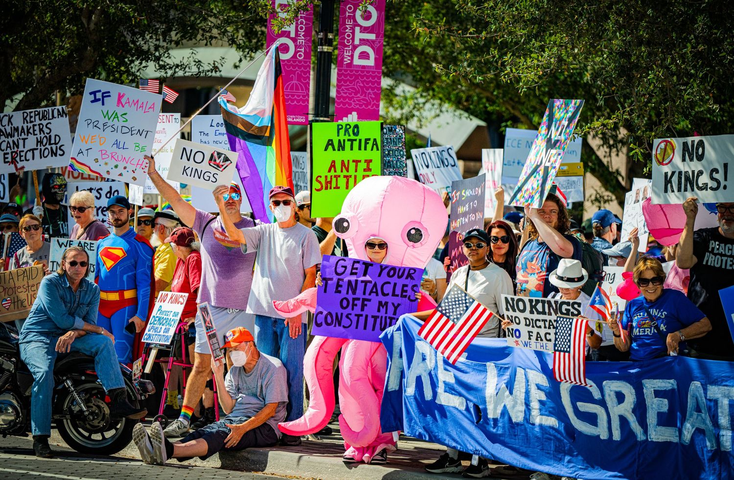 Protesters with colorful signs gather along a tree-lined street for a demonstration.