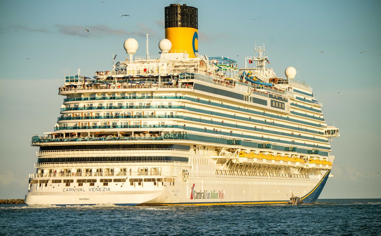 Line of large white cruise ships anchored in the ocean under a bright blue sky.