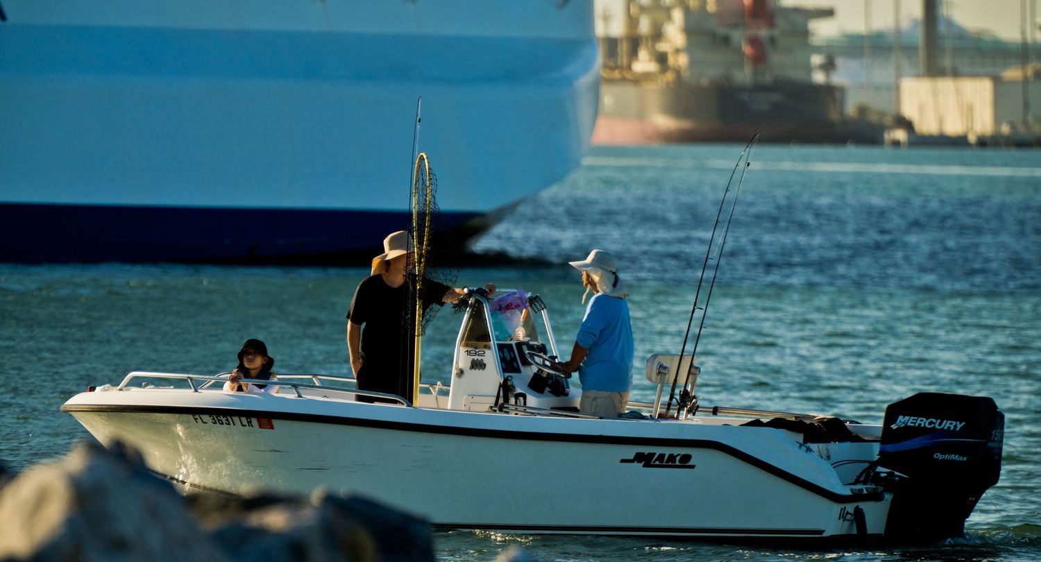 A collection of boats and watercraft lined up at a marina during golden hour with calm waters in the background.