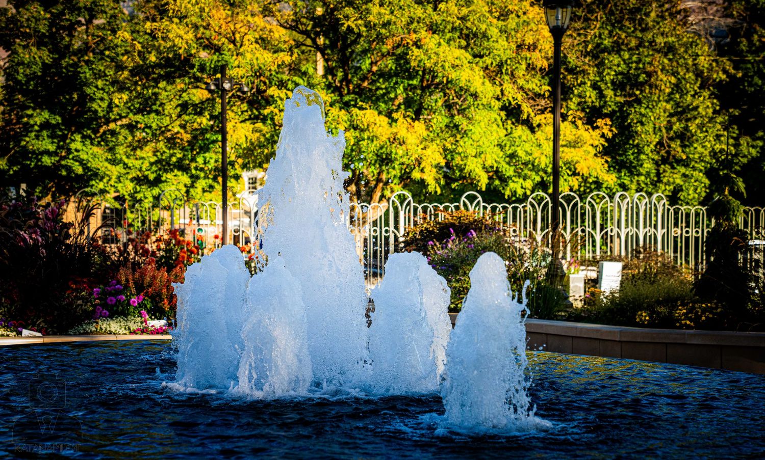 Water fountain spraying in front of autumn trees with golden foliage.