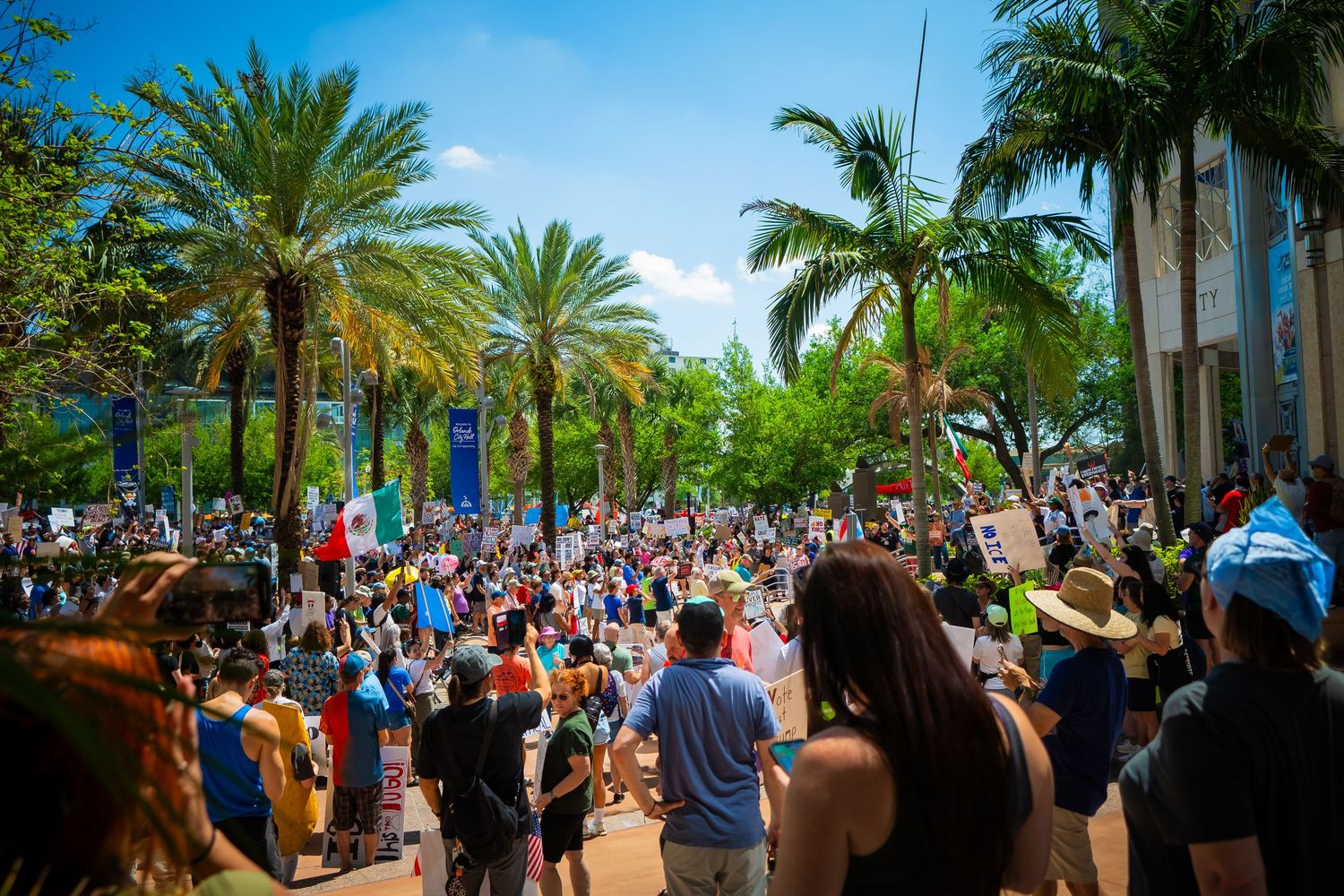 Large crowd gathers for protest rally on palm tree-lined street during sunny day in urban area.