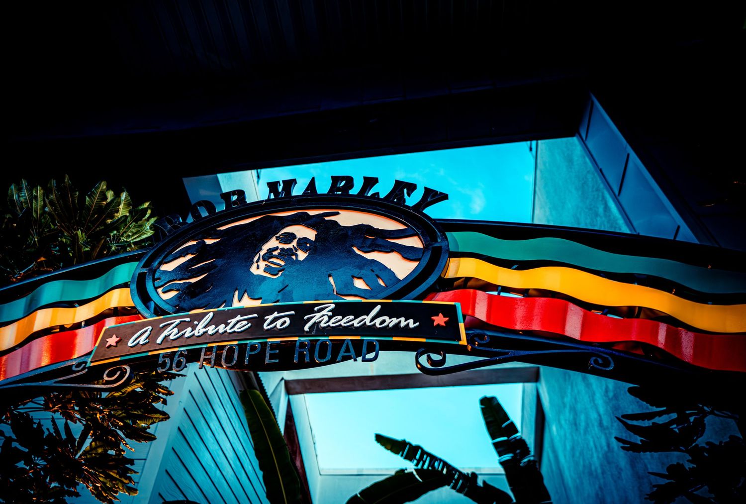 Colorful neon lights illuminate a dark urban street with bright blue and red signage glowing at night.