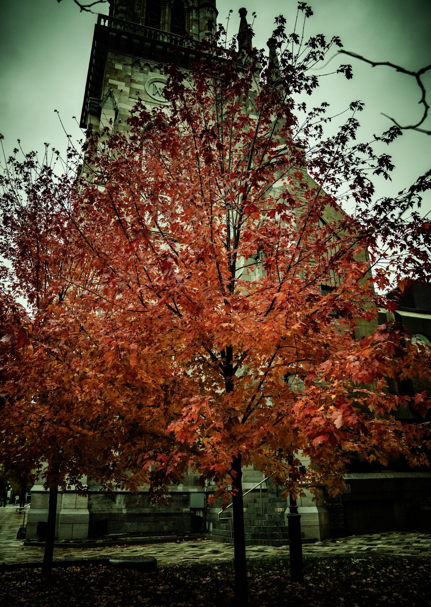 A vibrant orange autumn tree stands against a moody green-tinted sky near a building with dramatic lighting.