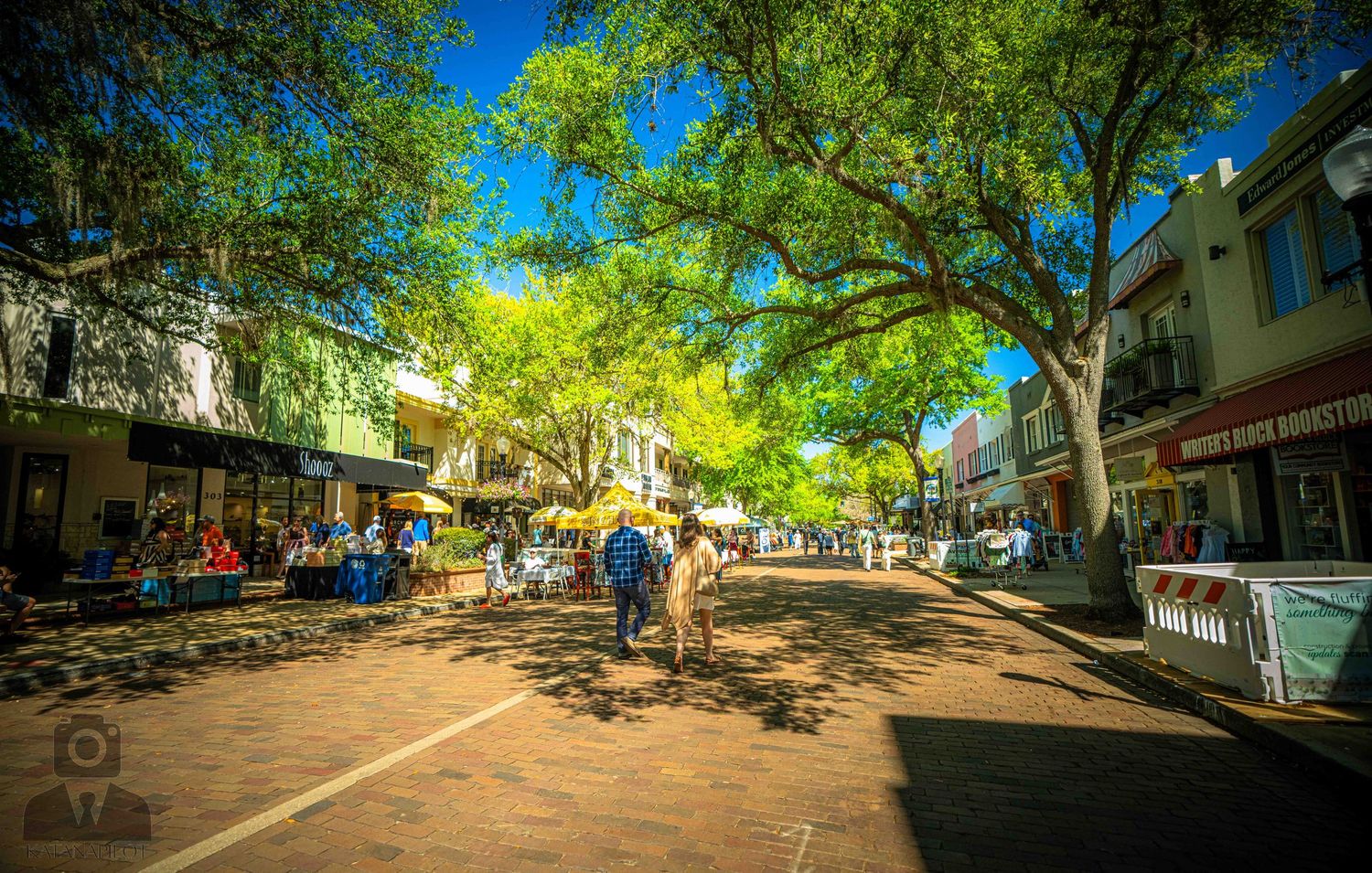 Tree-lined street with dappled sunlight creates a peaceful urban pathway on a sunny day.