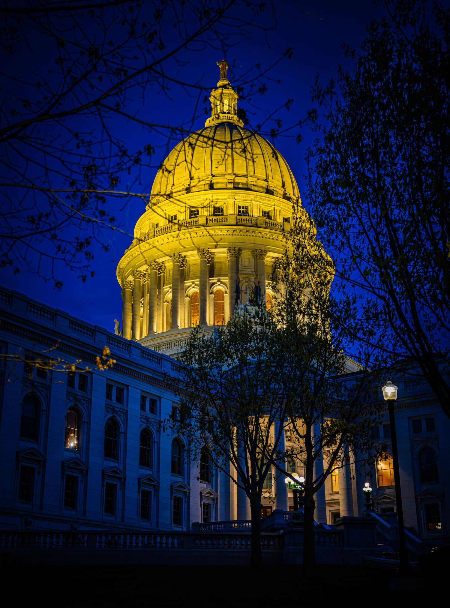 Illuminated golden dome of Wisconsin State Capitol building glowing against deep blue twilight sky with bare trees in foreground.