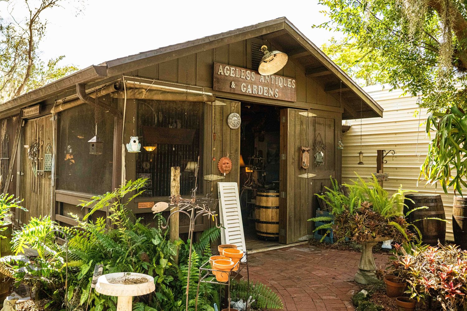 Charming rustic storefront with wooden walkway and tropical landscaping.