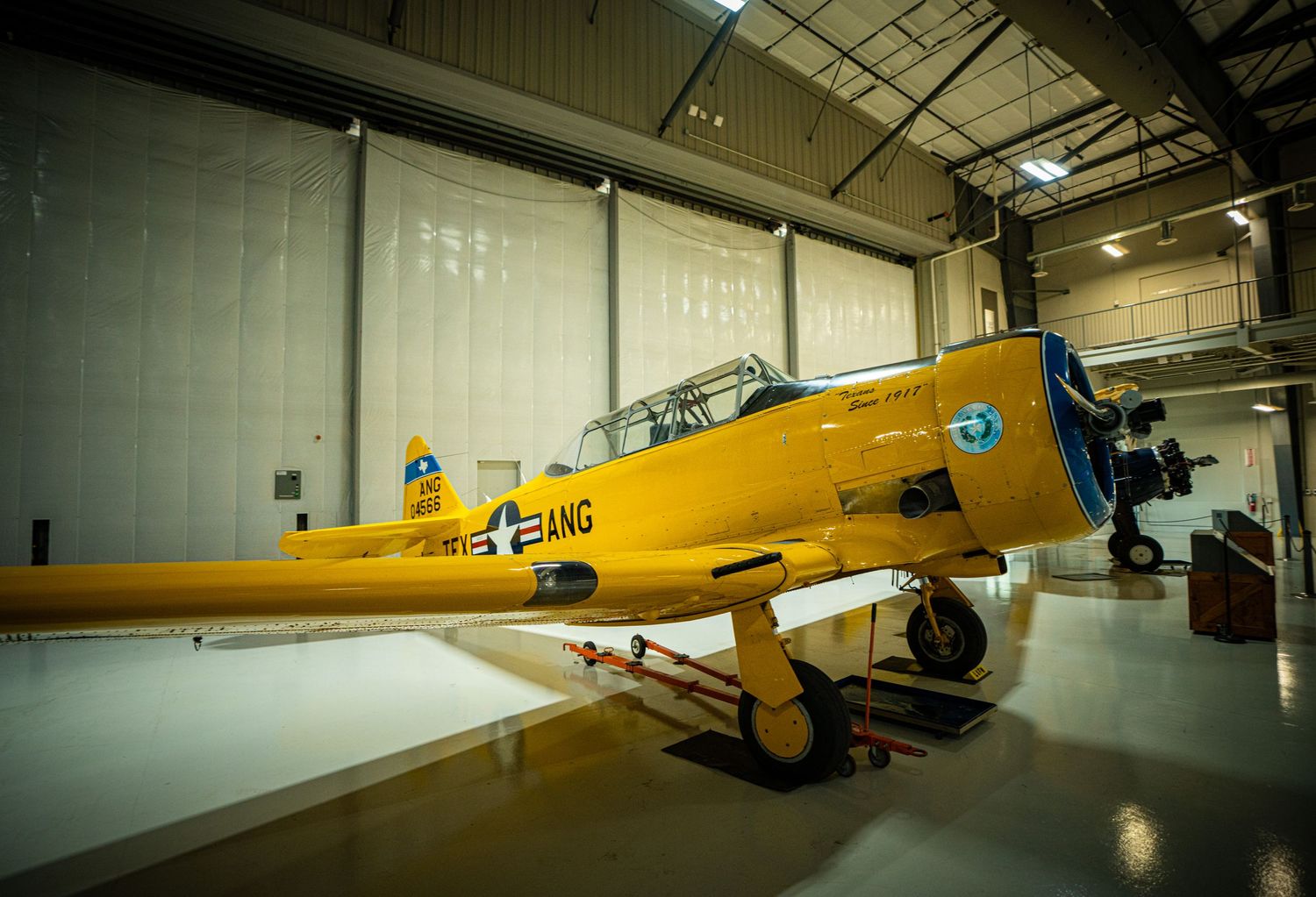 Vintage yellow military training aircraft displayed inside a spacious aviation museum hangar.