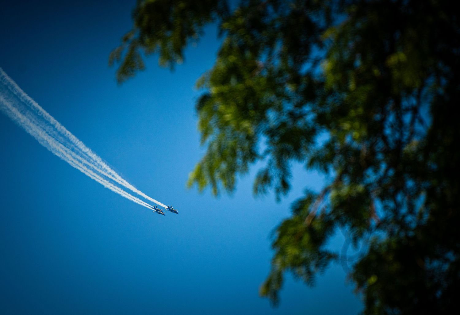 Jets flying in formation leaving contrails across a blue sky framed by tree branches.