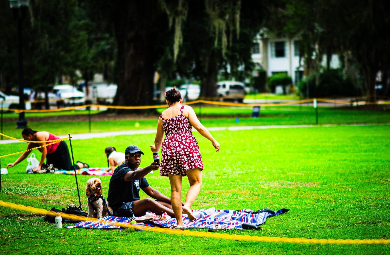 People relaxing on a blanket in a lush green park on a sunny day, with trees and a house in the background.