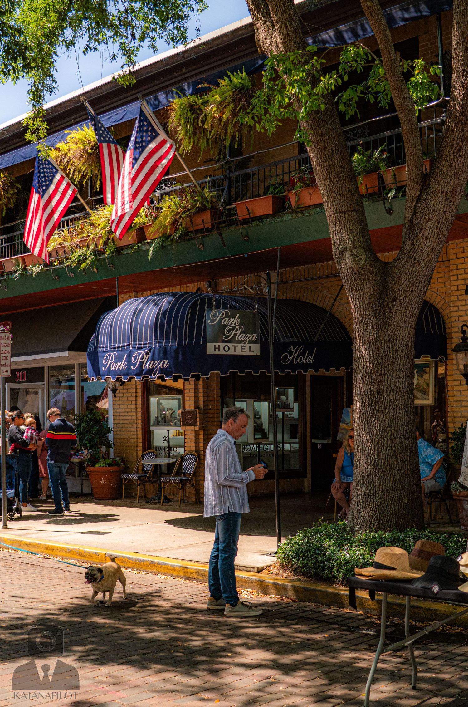 Tree-lined shopping street with American flags and pedestrians walking past storefronts.