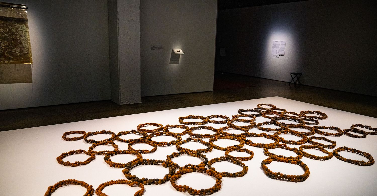 Installation art piece featuring circular chain-like elements arranged on a gallery floor.