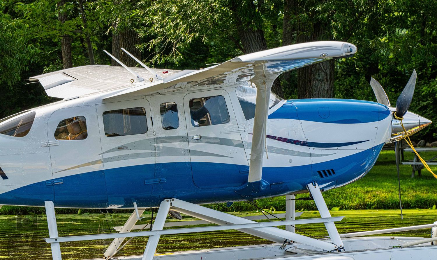 White and blue Cessna aircraft with fixed landing gear parked in grassy area.
