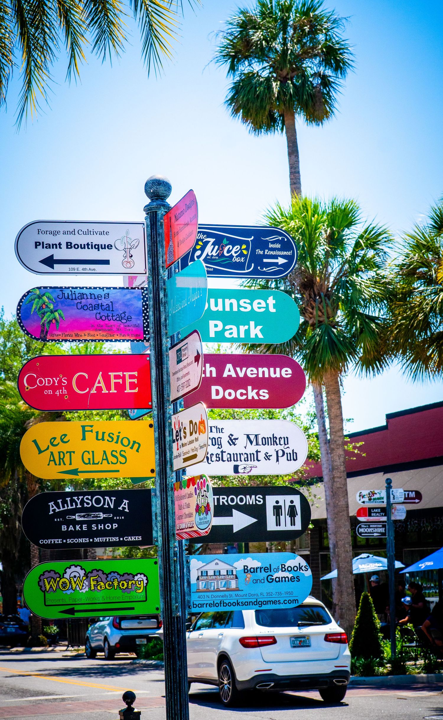 Colorful business directory sign post with palm trees showcasing local shops and attractions.