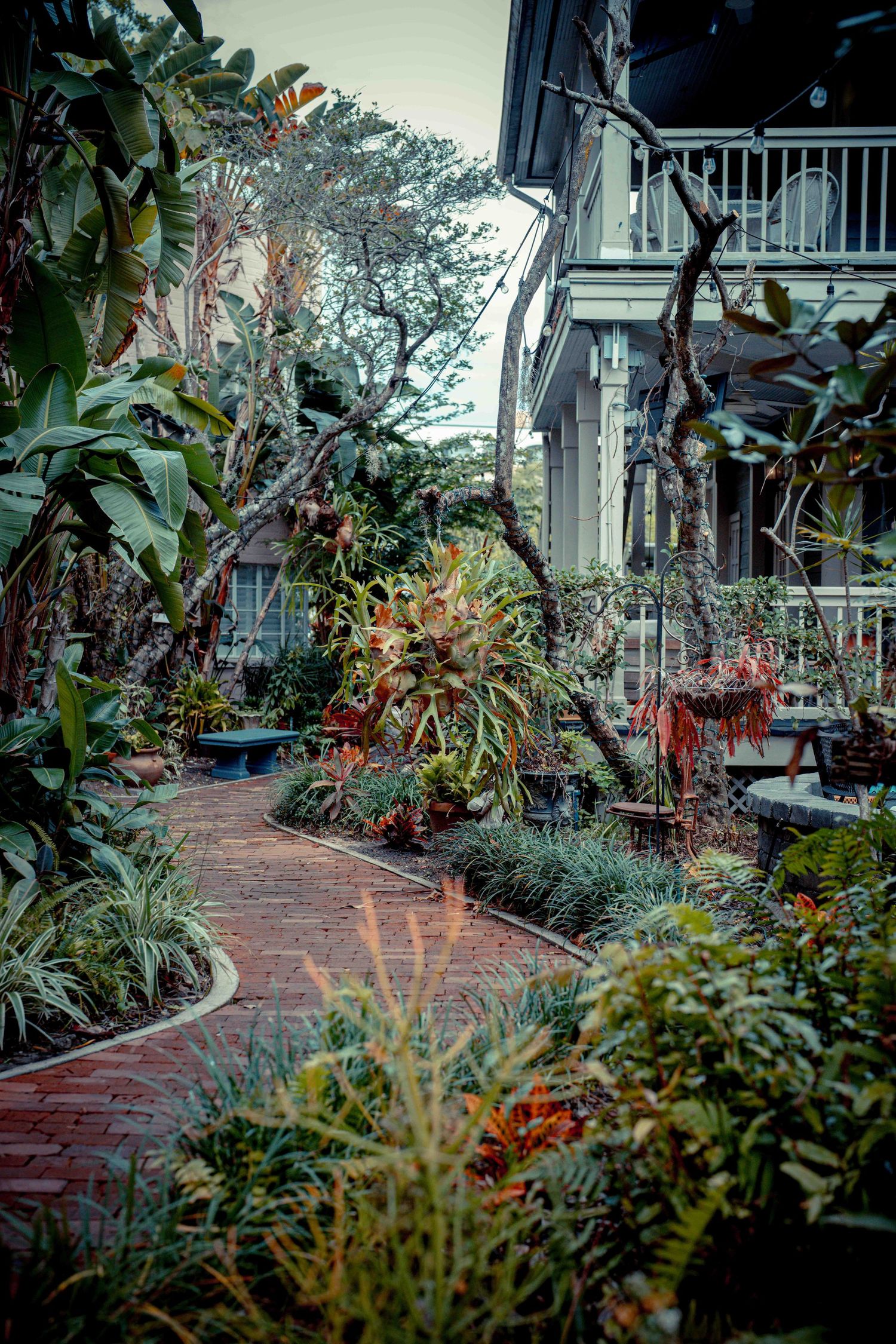 A garden pathway lined with lush tropical plants and brick pavers leading to a building entrance.