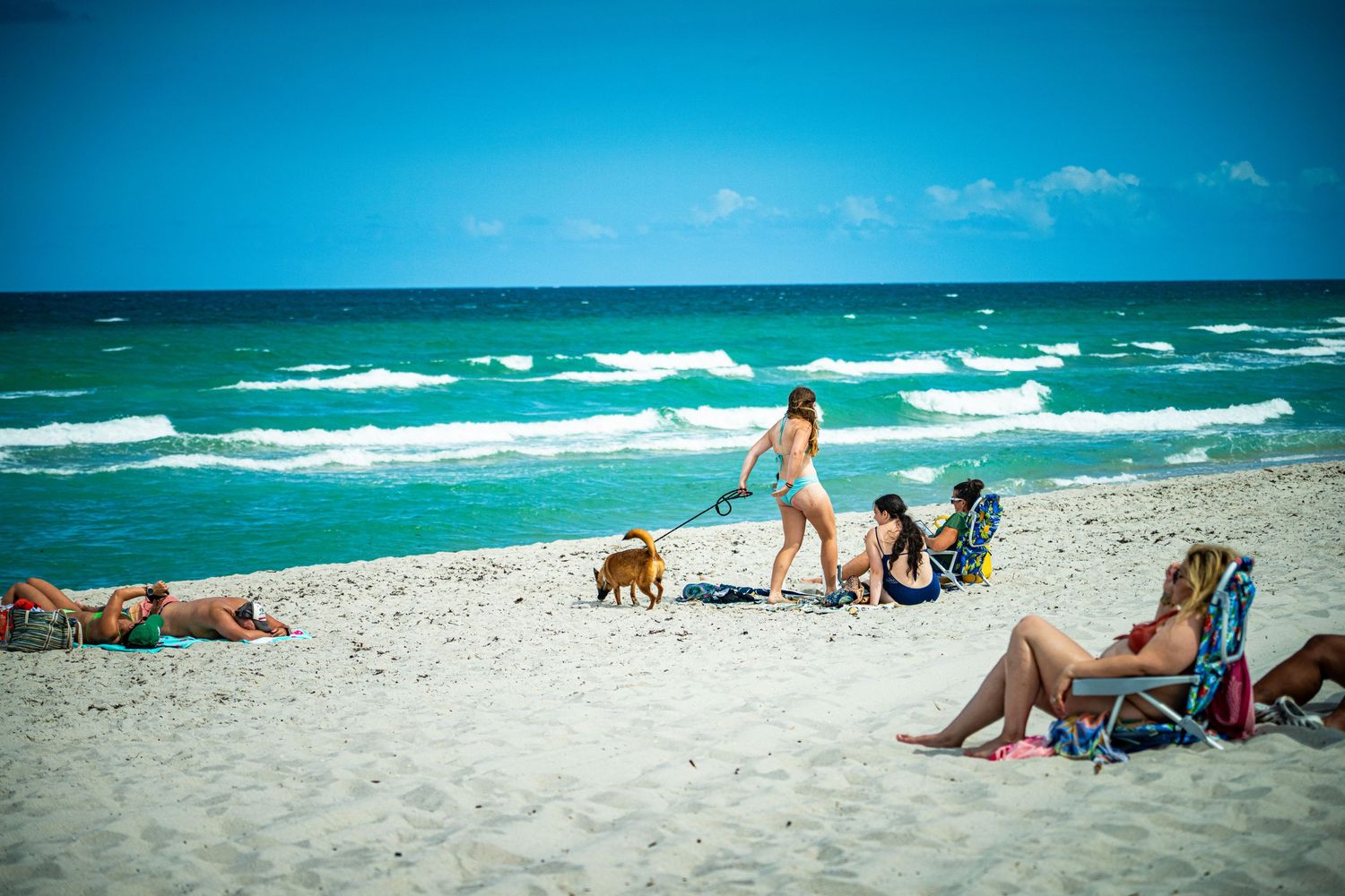 Scenic beach landscape with crashing waves and beachgoers enjoying the sunny day.