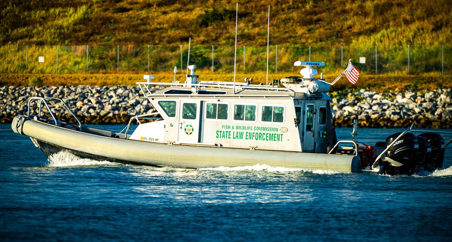 Multiple white tour boats cruise along a waterfront with rocky shoreline and green vegetation in the background.
