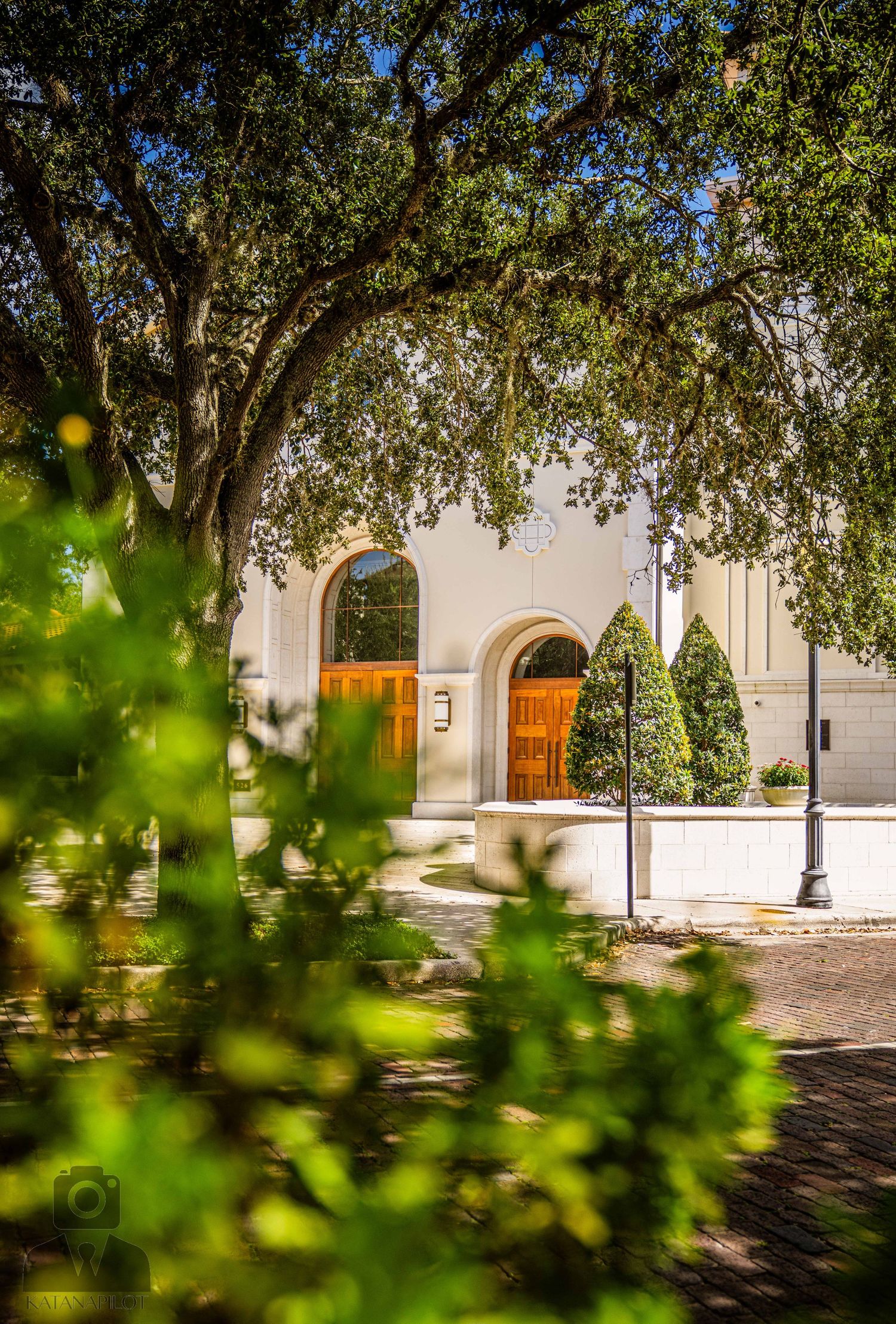 Tree branches frame a brick pathway leading to an elegant building entrance.