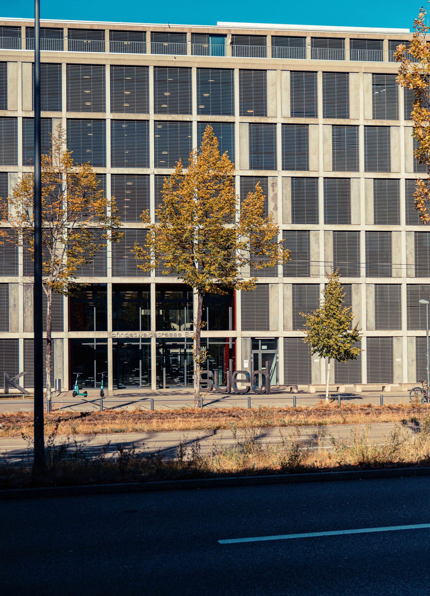 Modern glass and concrete office building with autumn trees along an empty city street under a clear blue sky.