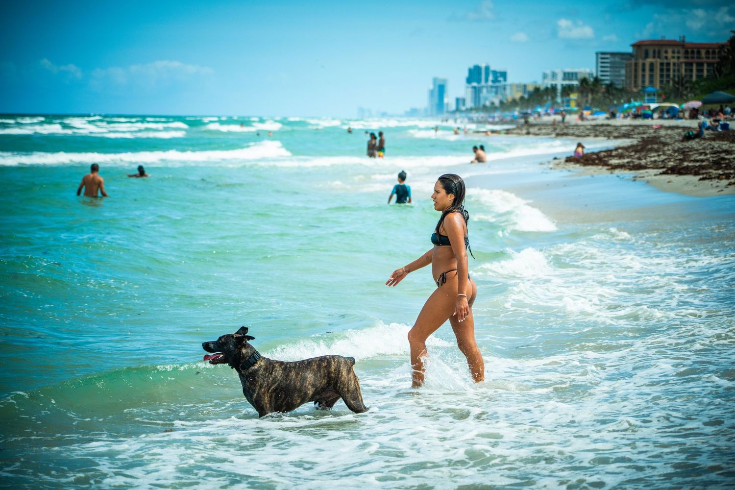 Beachgoers enjoying the surf while a dog plays in the turquoise waters.