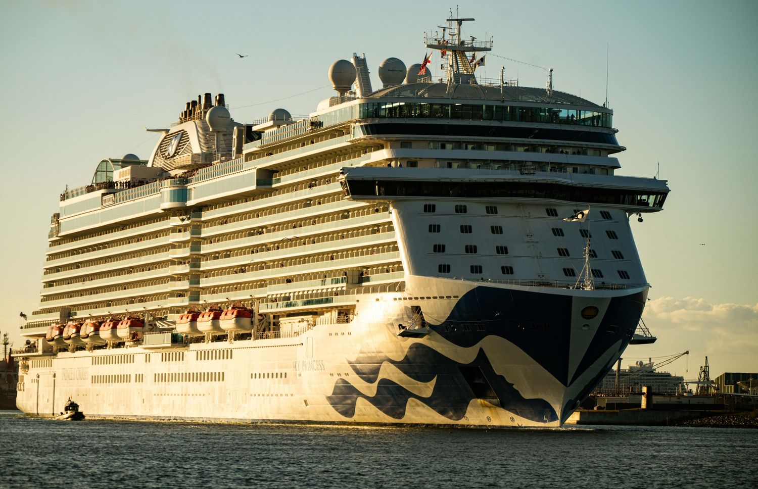 Luxury cruise ships lined up at a port terminal during sunset with golden light reflecting off their white hulls.