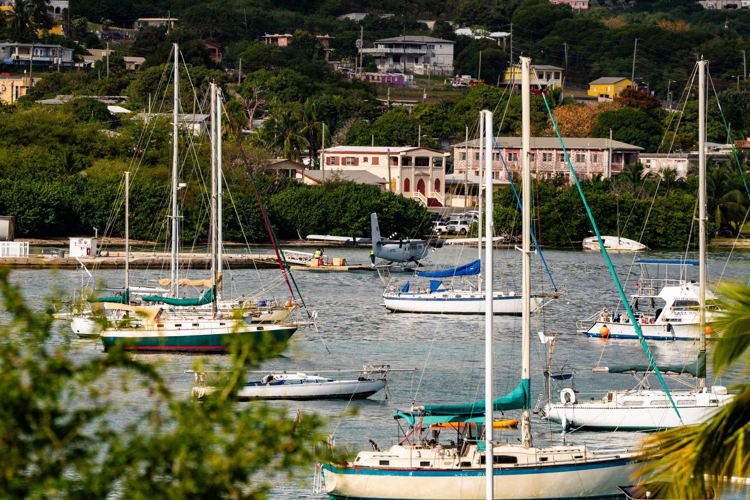 Marina filled with sailboats and yachts against backdrop of coastal buildings.