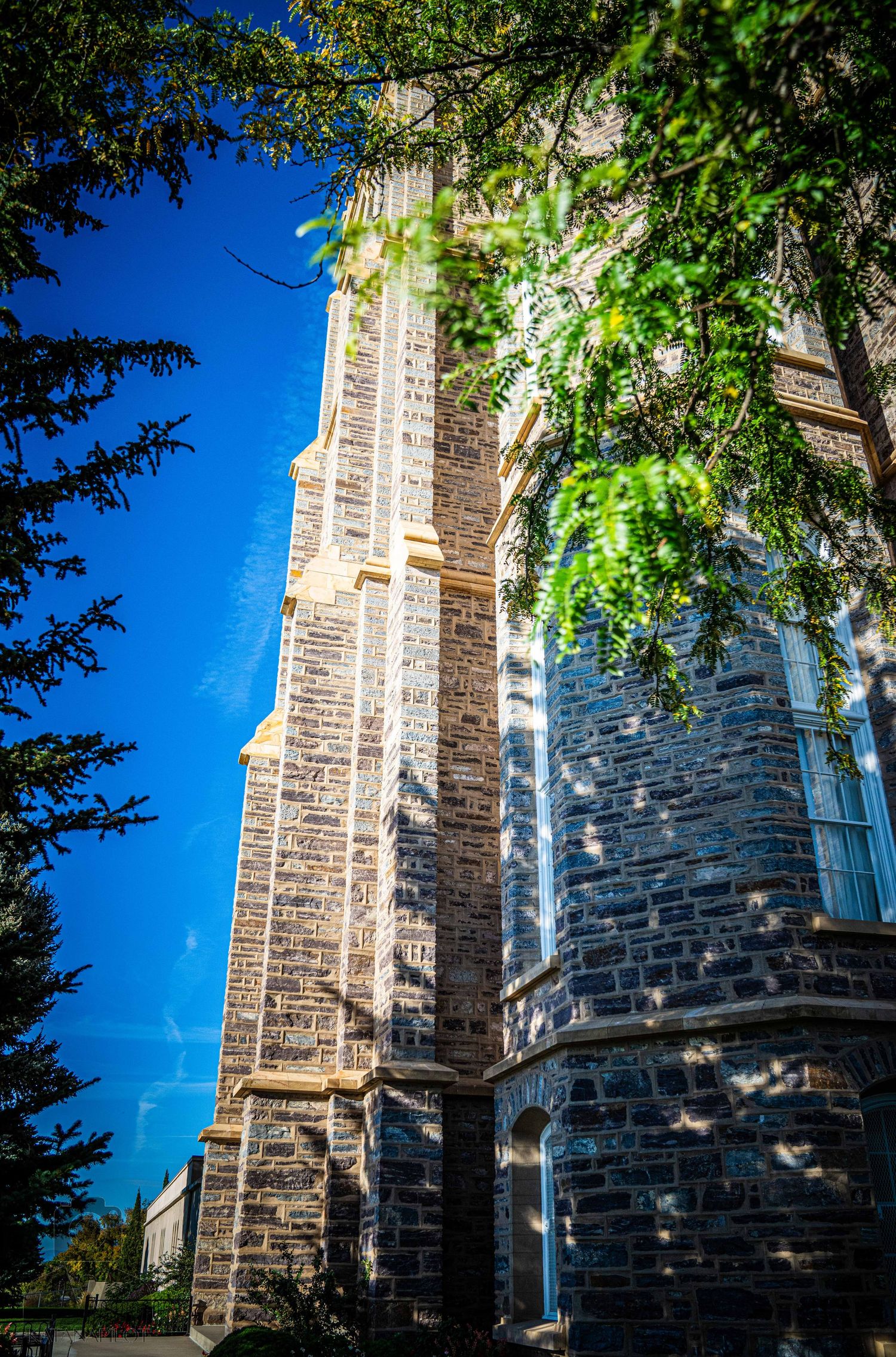 Detailed stone masonry and architectural elements of historic building framed by tree branches.