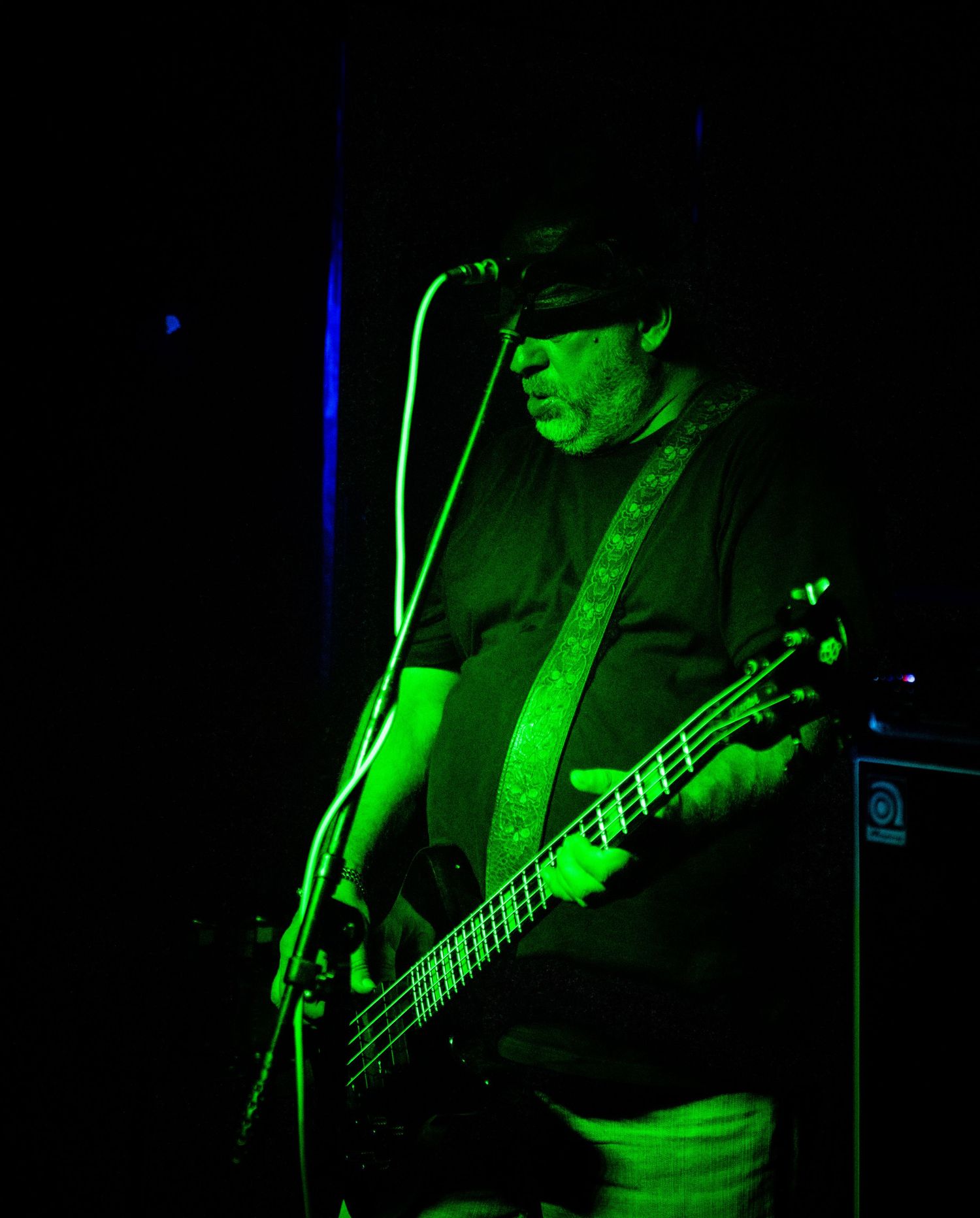 Bass player performing under dramatic green stage lights at a music venue.