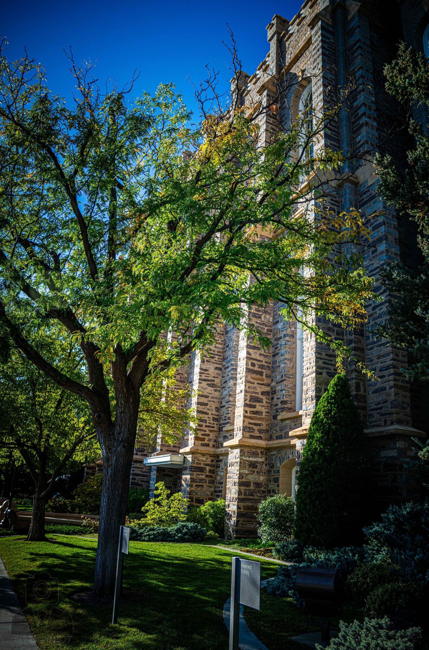 Historic stone building partially obscured by green leafy trees in summer.