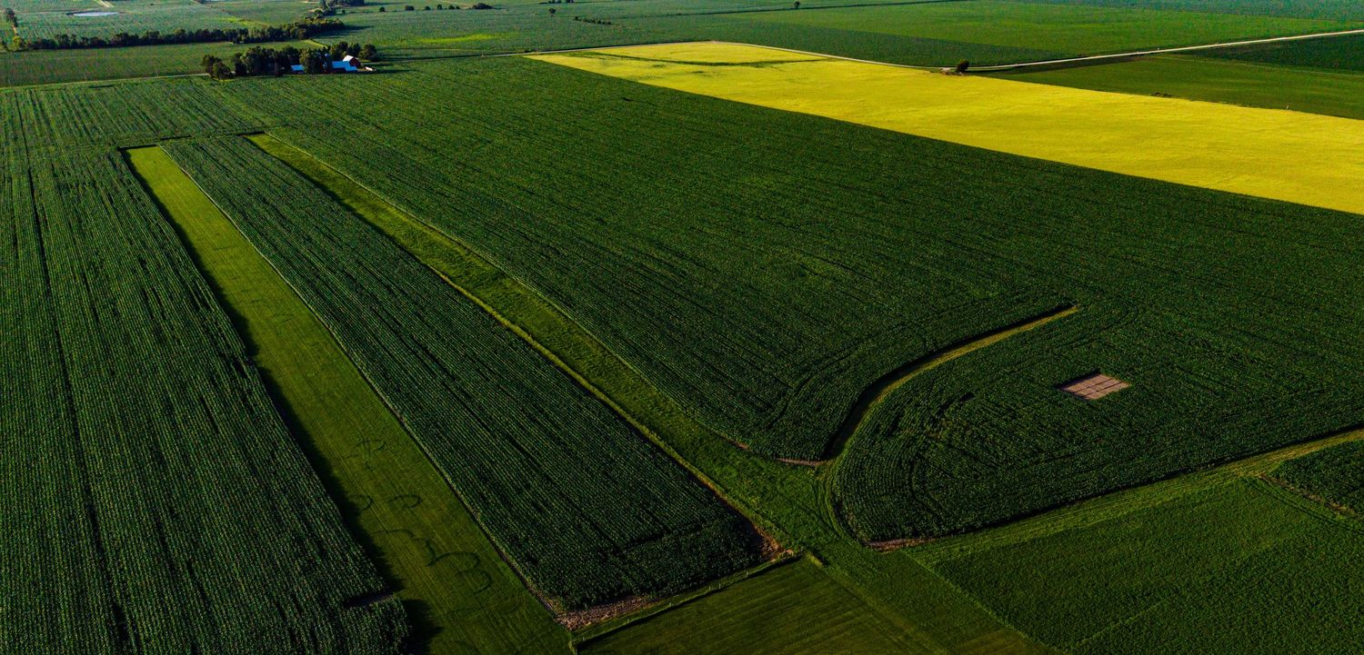 Aerial view of vast agricultural fields with vibrant yellow canola and lush green crops in a patchwork pattern.