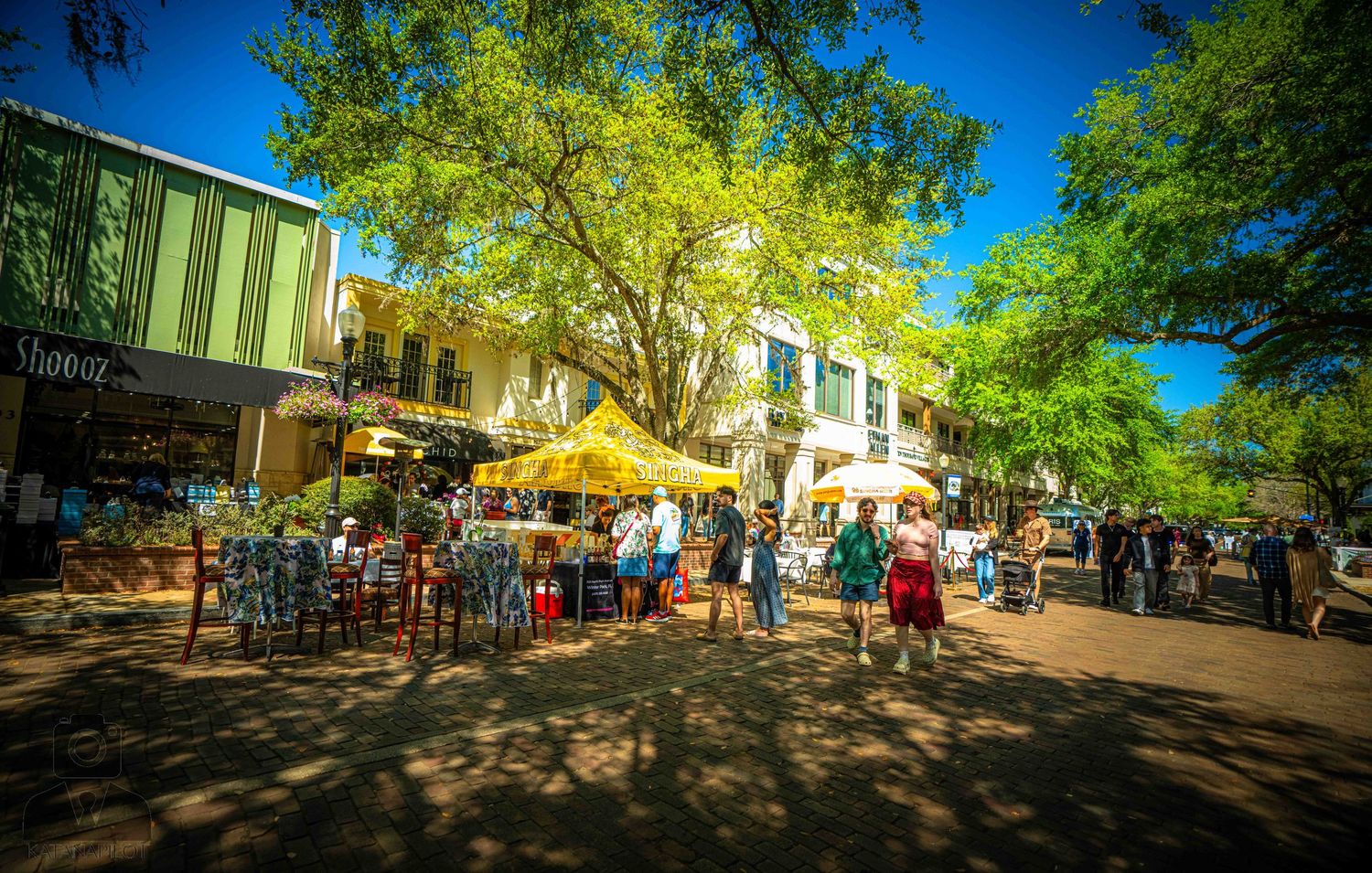 Panoramic view of a bustling outdoor marketplace with vendor stalls under green trees on a sunny day.