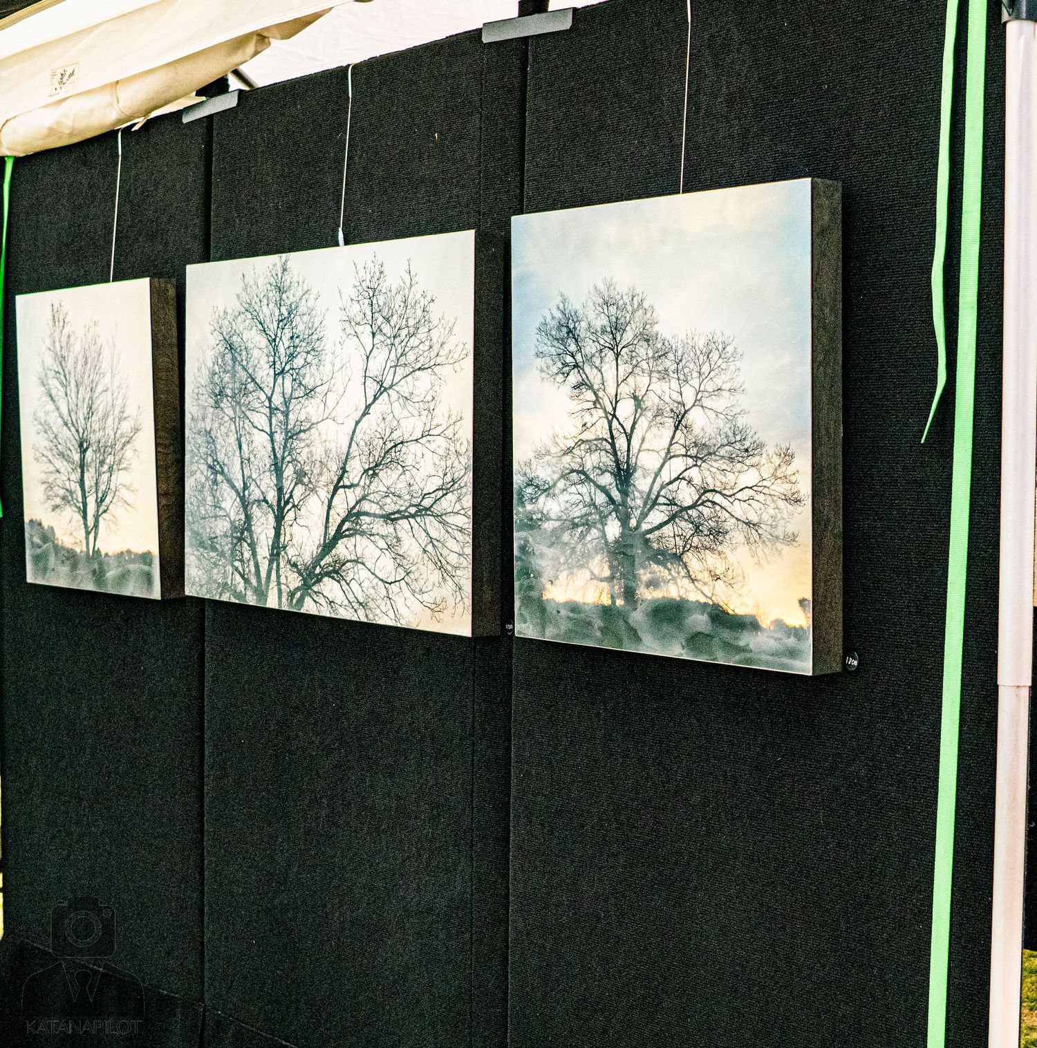 Gallery wall featuring a series of minimalist black and white tree photographs.