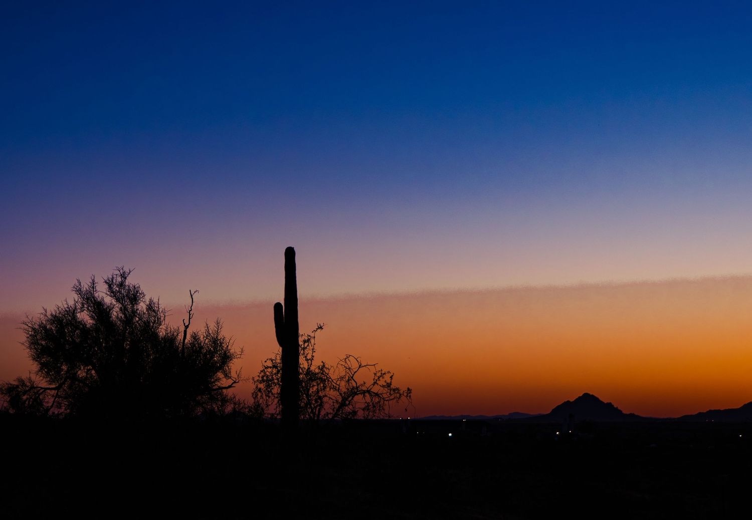 Silhouette of a saguaro cactus against a vibrant Arizona desert sunset with orange and blue gradient sky.