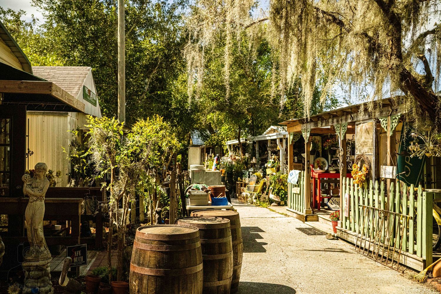 Outdoor shopping pathway lined with Spanish moss-draped trees and wooden railings.