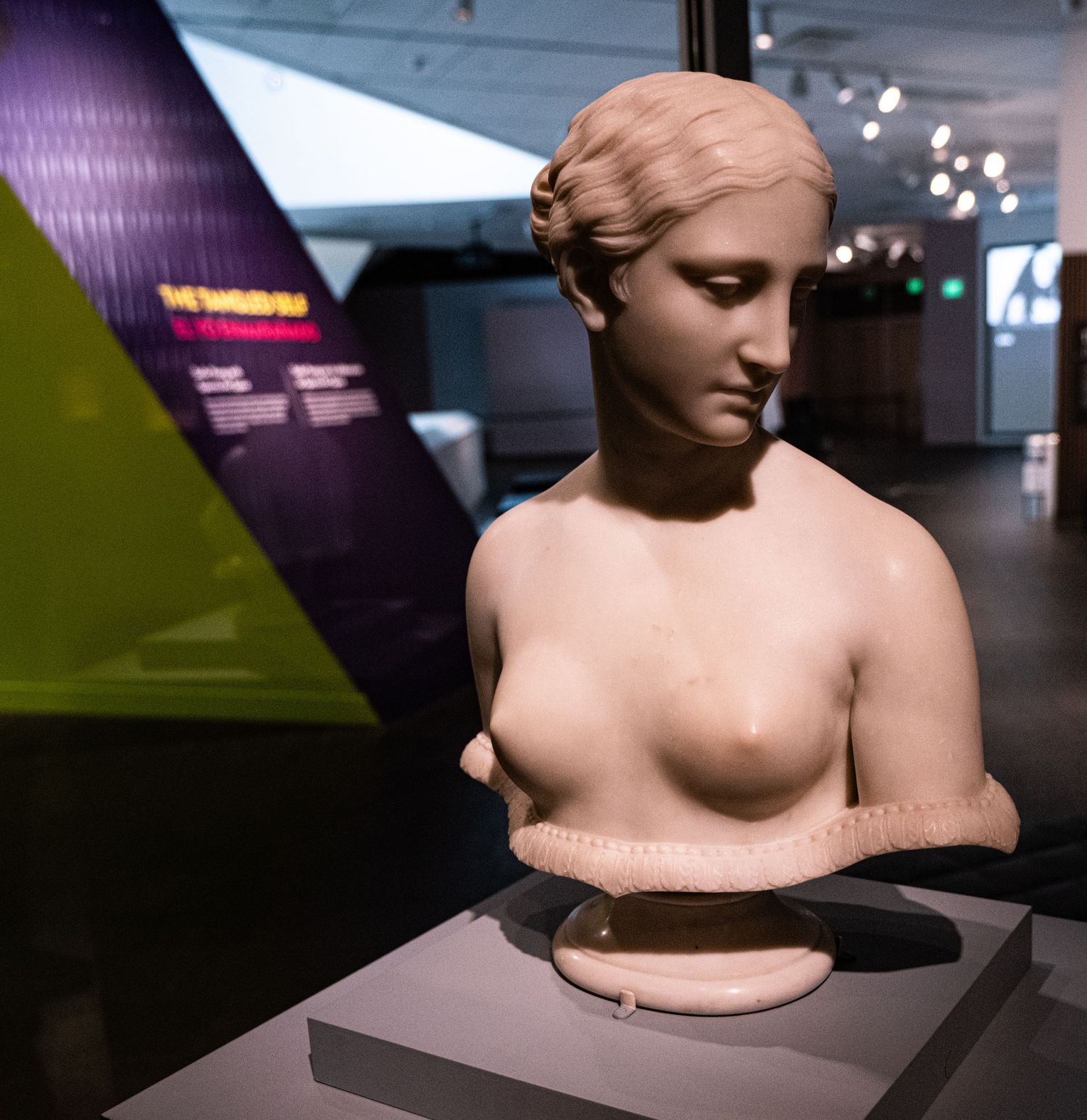 Classical marble bust sculptures displayed in a dimly lit museum gallery with purple ambient lighting.