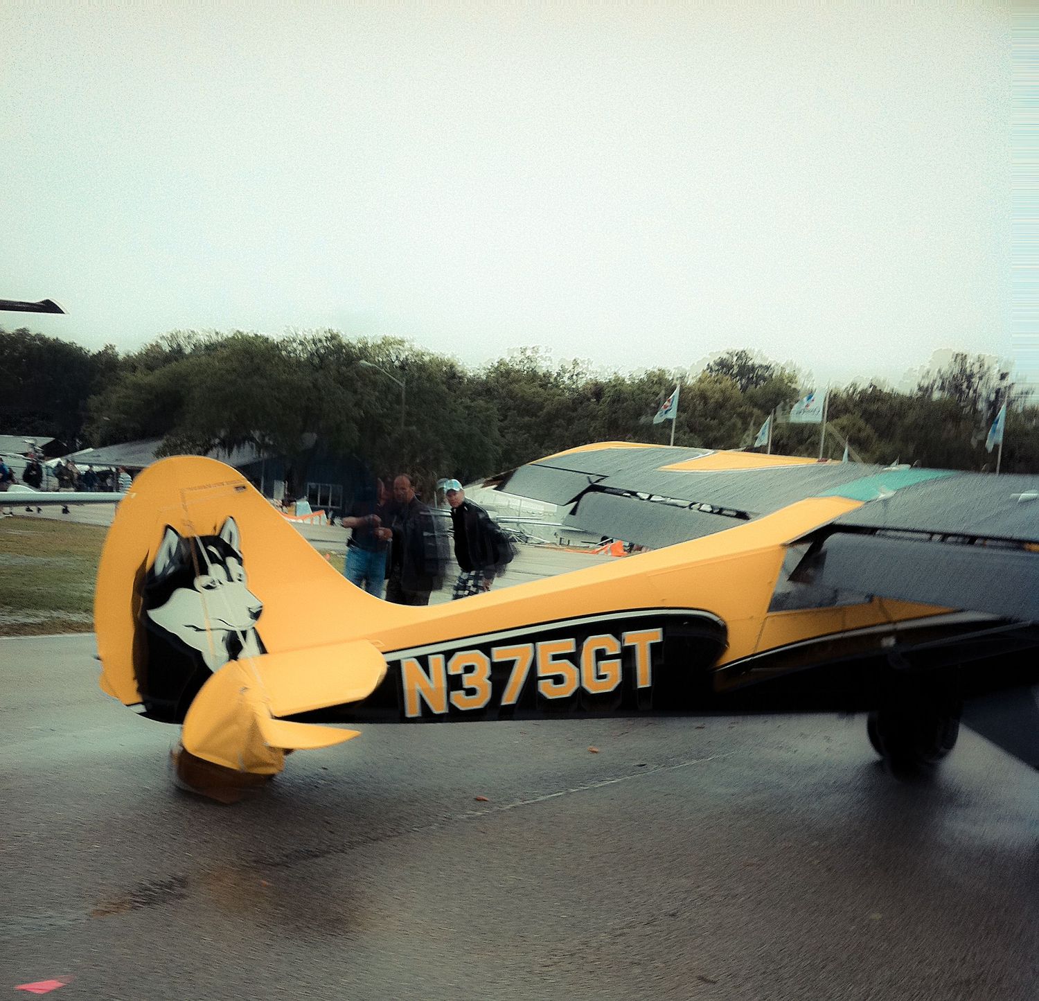 A yellow vintage aircraft with registration number N3756T parked on an airfield, shown from multiple angles.