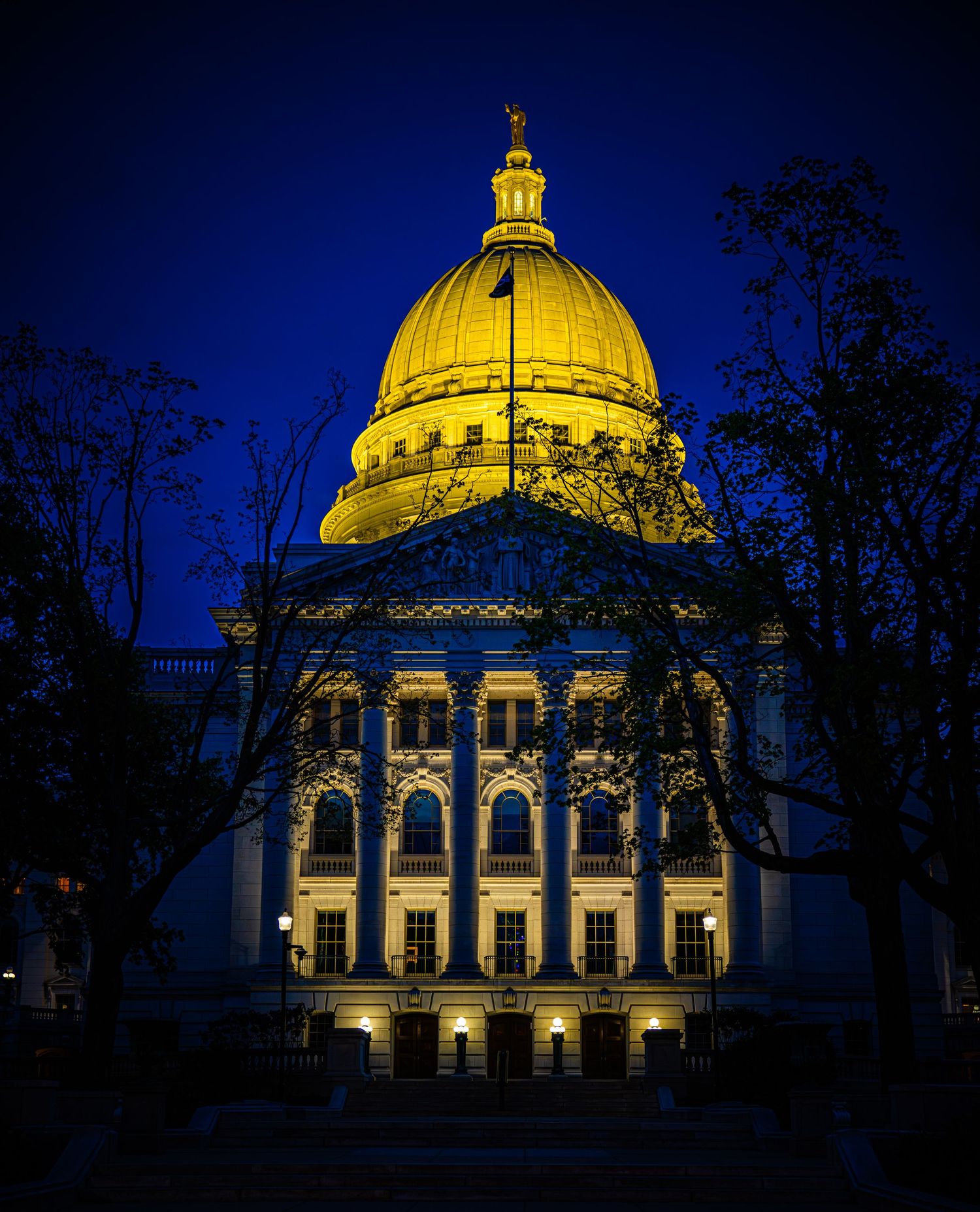 Illuminated state capitol building with golden dome glowing against deep blue night sky, framed by bare trees.