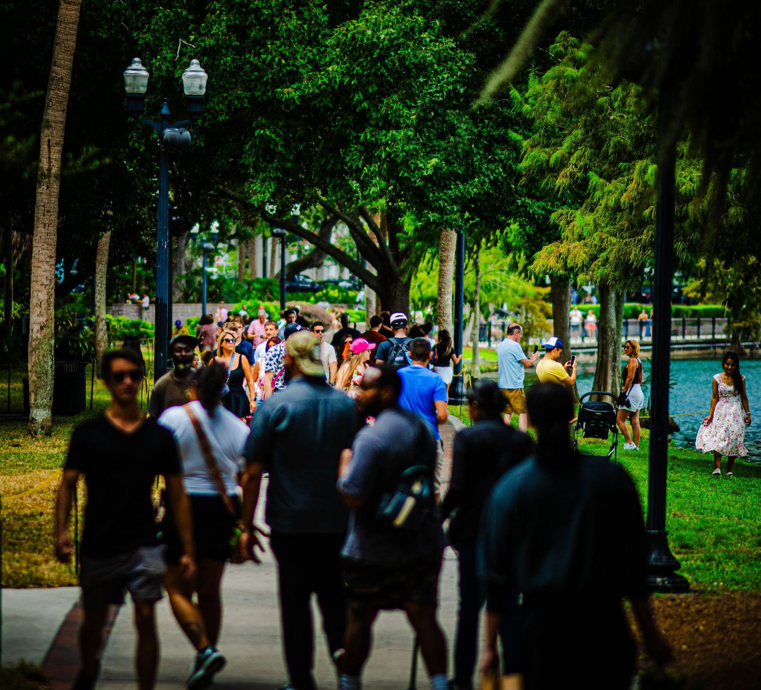 Crowd of people walking along a tree-lined waterfront promenade on a sunny day.