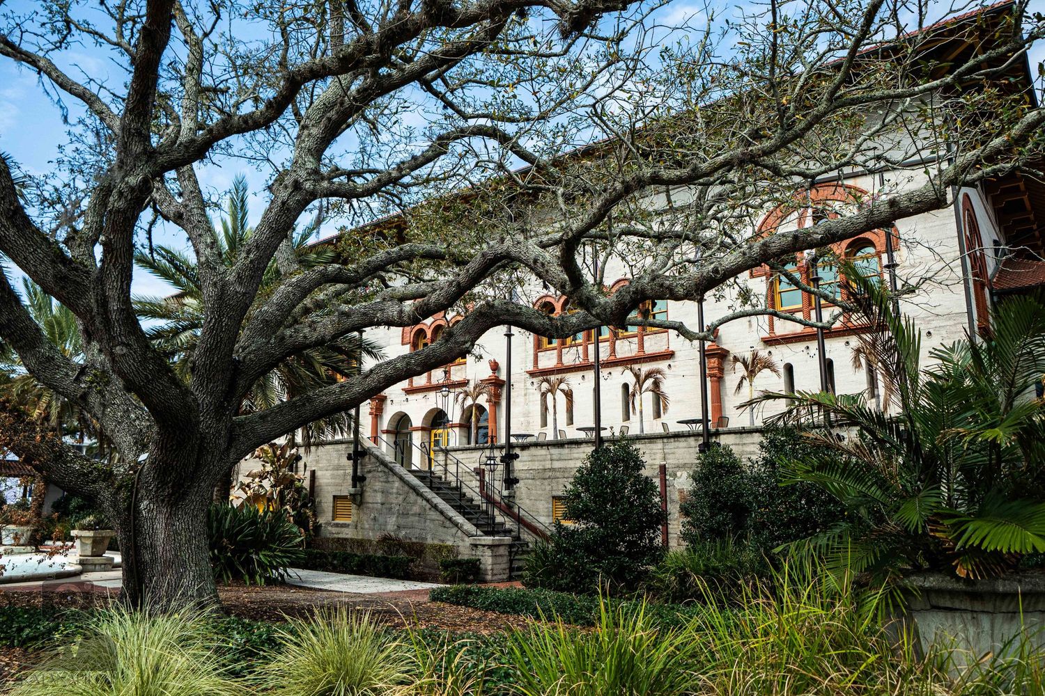 Ancient oak trees with sprawling branches stretch over historic Spanish colonial buildings in St. Augustine.